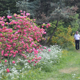 Besucher im Weltwald Bad Grund